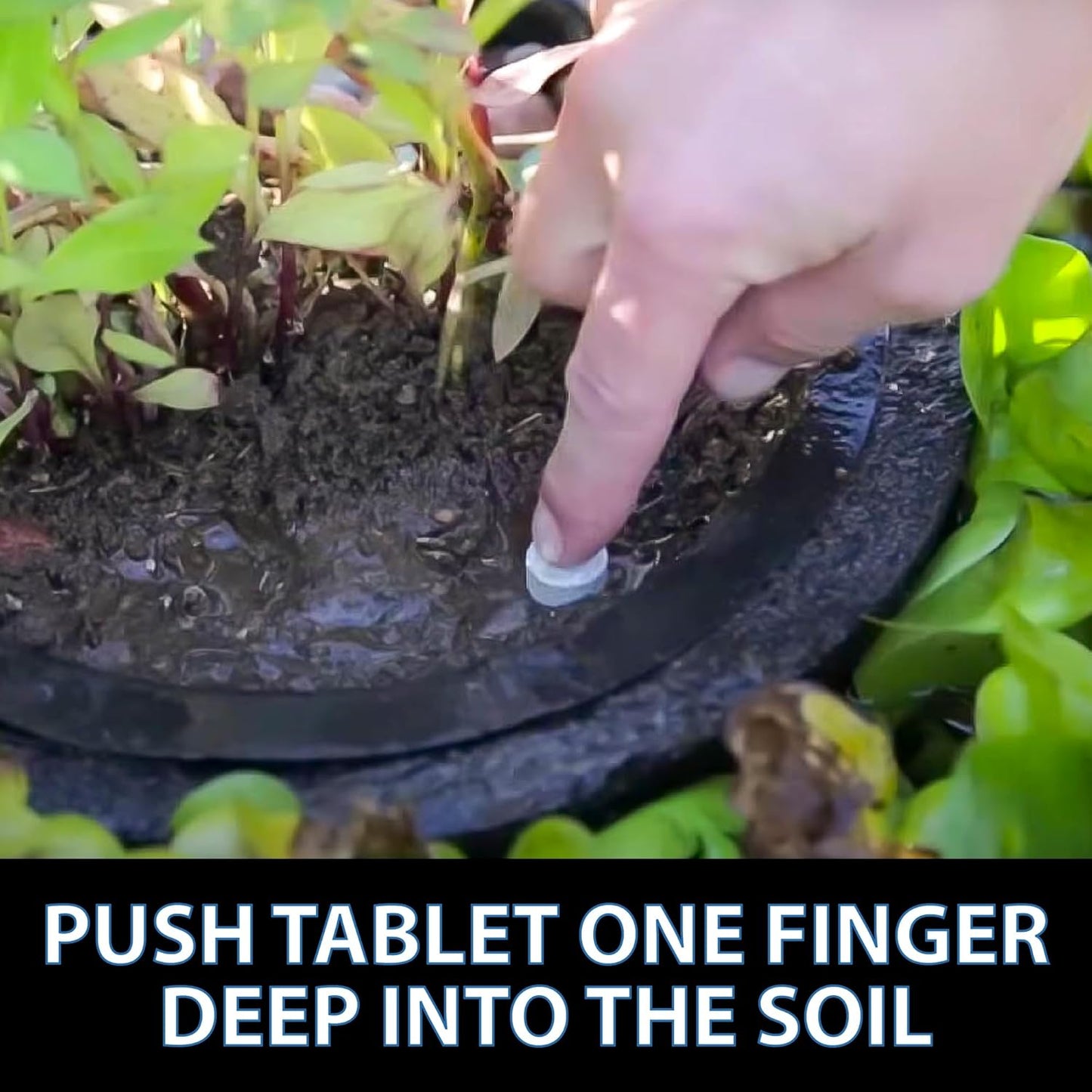 CrystalClear Thrive Aquatic Pond Plant Food, Fish Safe Water Garden Fertilizer, Nutrients Boost Lily & Lotus Flower Bloom & Root Growth, 30 Tablets