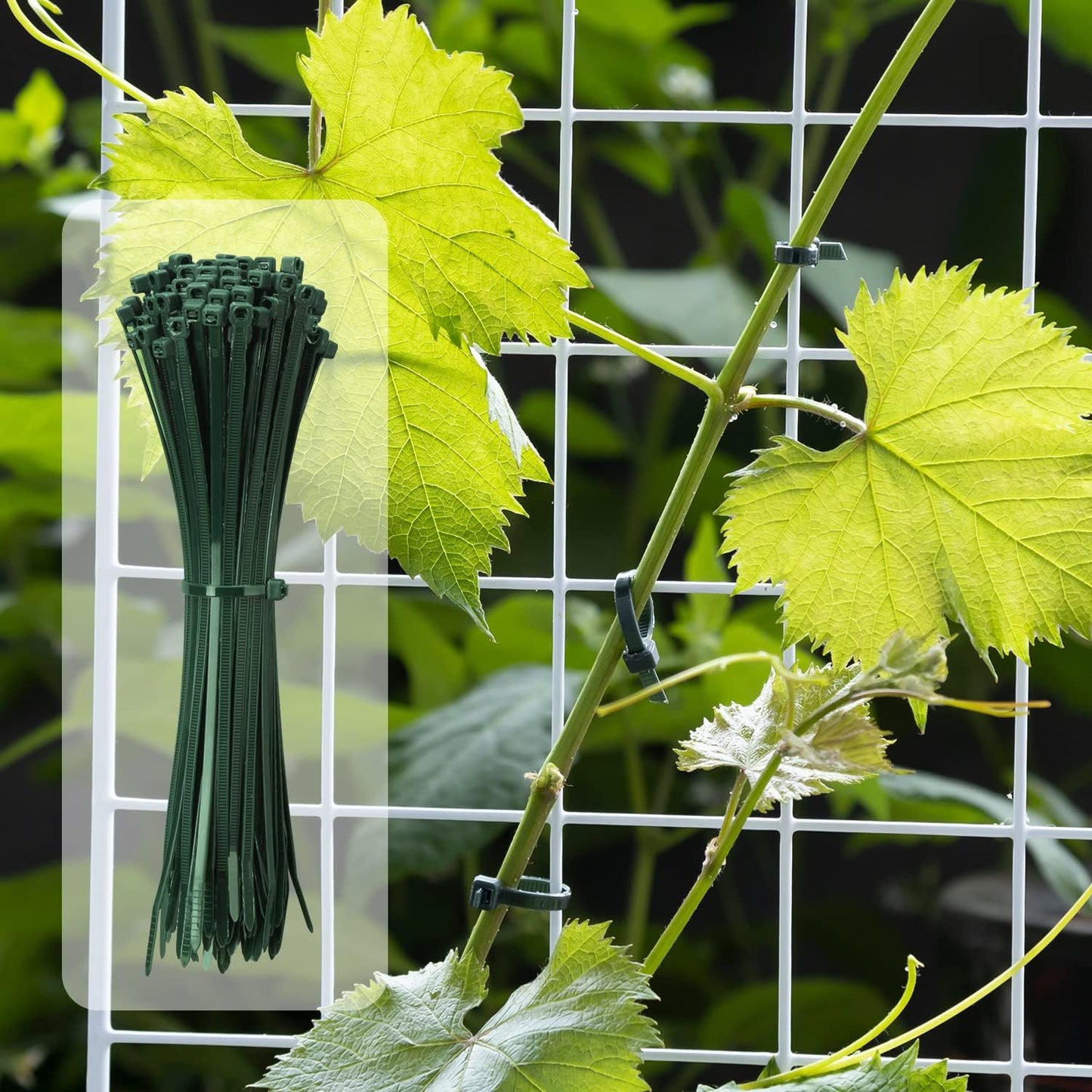 6 Inch Garden Green Zip Tie 1000 PCS, 18 Lbs - Small to Medium Zip Tie, Nylon PA66 UV Resistant Cable Tie for Indoor and Outdoor Use - Ideal for bundling and securing objects