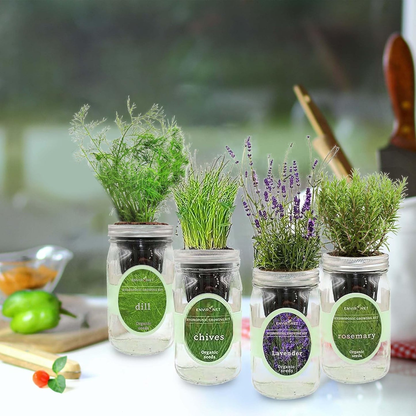 Hydroponic Herb Growing Kit Set, Self-Watering Mason Jar Herb Garden Starter Kit Indoor, Grow 4 Kinds of Herbs from Seeds (Chives,Dill,Lavender&Rosemary)