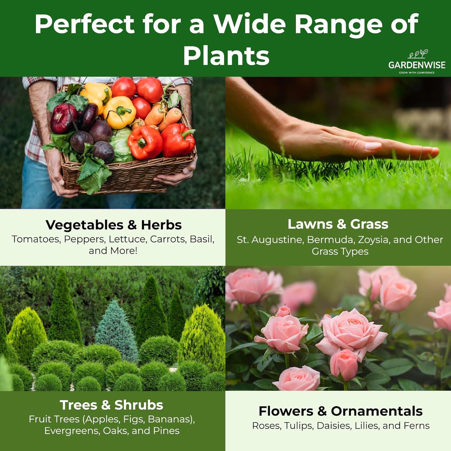 13-13-13 Slow Release Granular Fertilizer – All Purpose Plant Food 13 13 13 for Outdoor Grass, Vegetables, Roses, Flowers, Shrubs, Trees. Lawns, Gardens, Potted Plants (5 quarts)