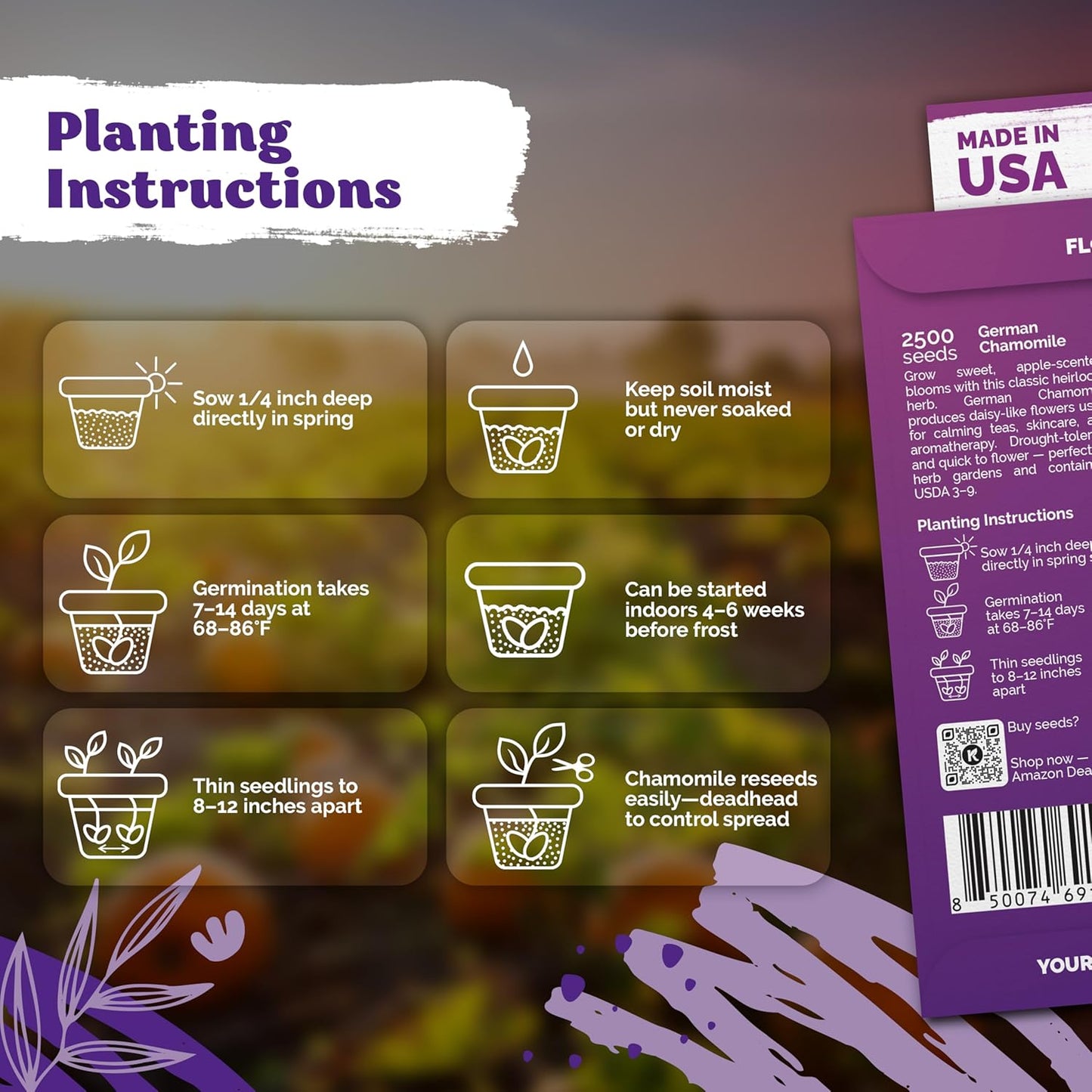 KVITER 2,500 German Chamomile Seeds for Planting (Matricaria Chamomilla/Recutita) – Heirloom & Non-Gmo Medicinal Herb Seeds, Flowers for Remedies & Chamomile Tea Organic – Indoors/Outdoors Herb Garden