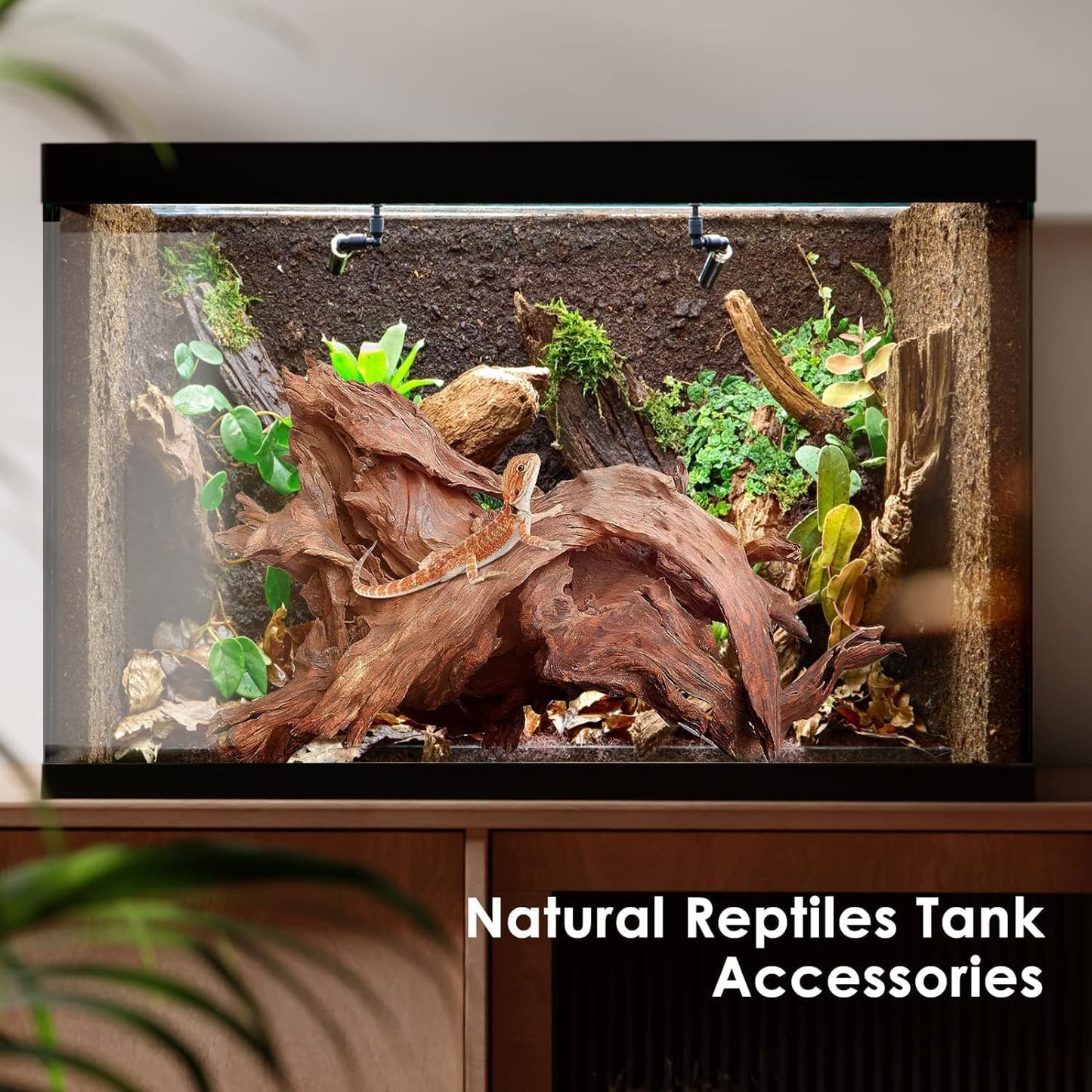 Natural Large Aquarium Driftwood for Fish Tanks & Reptile Terrariums – 100% Safe Fish Tank Decorations, Unique Twisted Branches 1-Piece 13-17 Inch Low Tannin, Easy to Sink