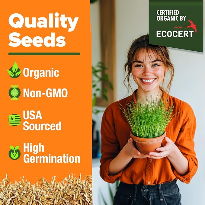 HOME GROWN Organic Cat-Grass Seed Mix (Oat & Barley) – 4 oz – Easy Indoor Planter