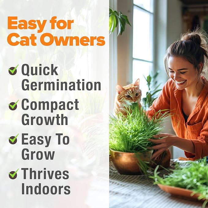 HOME GROWN Organic Cat-Grass Seed Mix (Oat & Barley) – 4 oz – Easy Indoor Planter