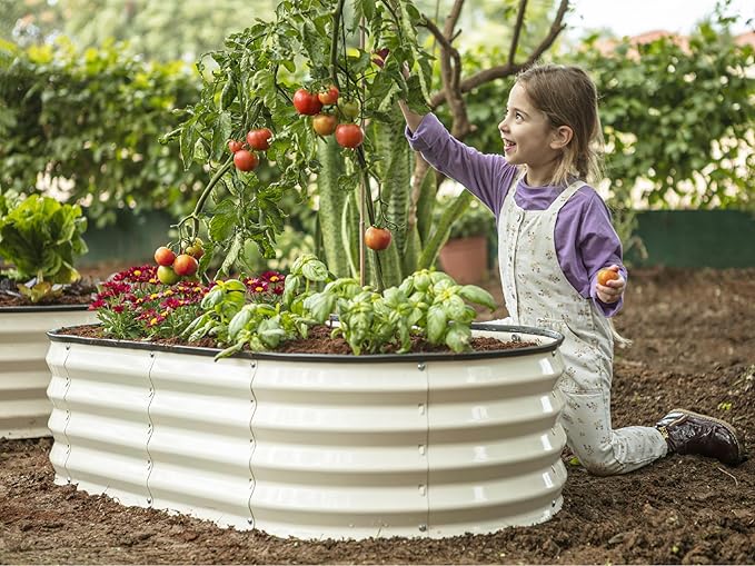 Galvanized Raised Garden Beds Outdoor // 4×2×1 ft Planter Raised Beds for Gardening, Vegetables, Flowers // Large Metal Garden Box (White) // Patented Tool-Free Design