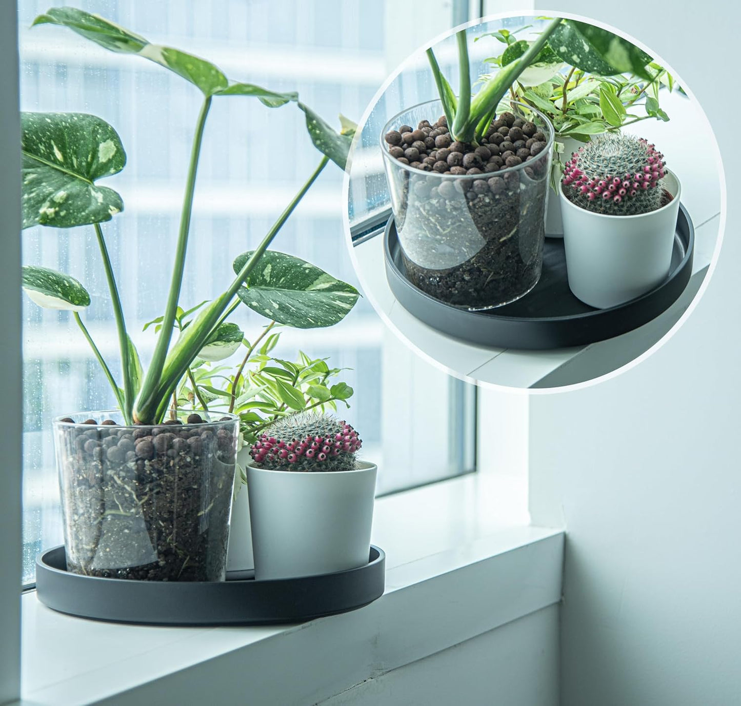 Phoenix Vine 12 Inch Plastic Plant Saucer Water Drip Tray, Heavy Sturdy Round Plant Drainage Tray for Indoors Outdoor, Matte Black, 21-TY-12B-1