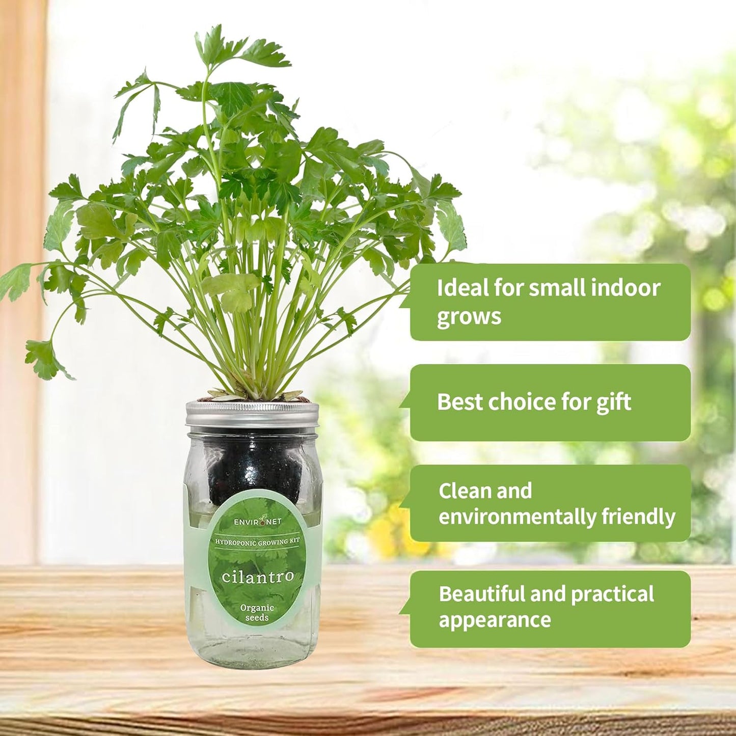 Hydroponic Herb Growing Kit, Self-Watering Mason Jar Window Herb Garden Starter Kit Indoor, Grow Your Own Herbs from Organic Seeds (Cilantro)