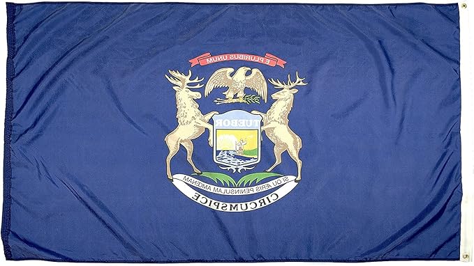 FlagSource Michigan Nylon State Flag, Made in USA, 8x12'