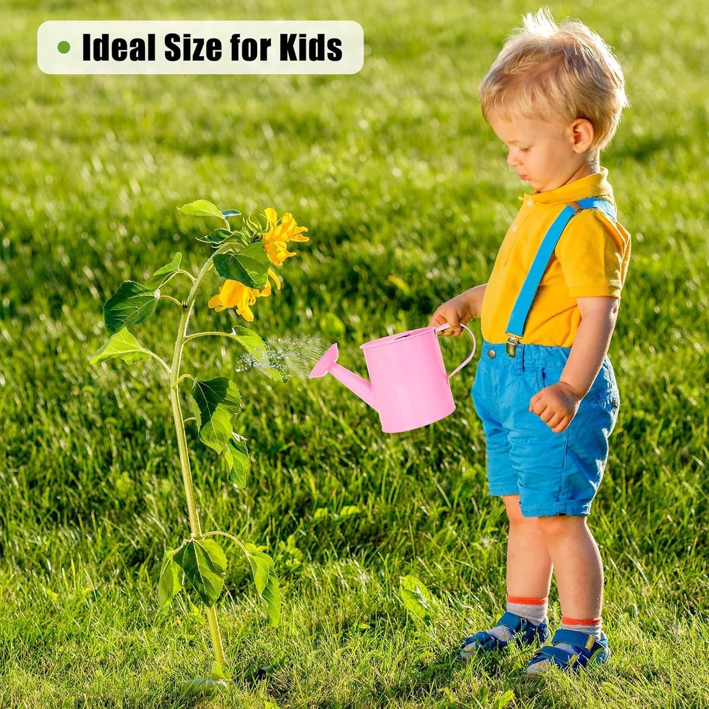 Metal Watering Can (1 Gallon) for Outdoor&Indoor Plants with Free Small Watering can for Kids, Plant Watering Can with Removable spout, Perfect for Garden Flower, Houseplants, Pink