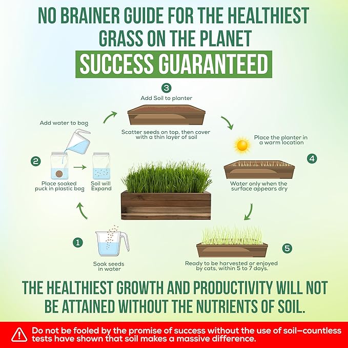 Cali Kiwi Organic Cat Grass Kit - Cat Grass for Indoor Cats with Cat Toy – Natural Hairball Remedy, Supports Digestion & Health, Single Planter (Black Gold)