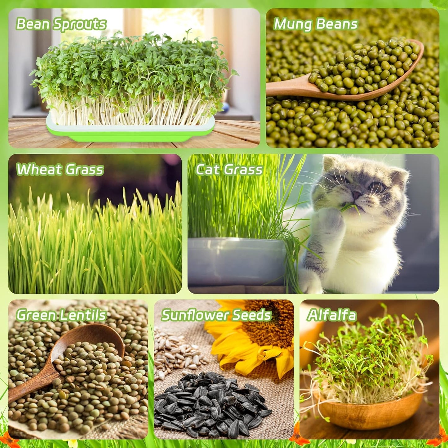 Legigo 16 Pack Green Seed Sprouter Trays- Soil-Free Cultivation Germination Tray, BPA Free Nursery Tray with Planting Paper for Indoors or Outdoors Sprouting Seeds, Grow Grass, Beans and More