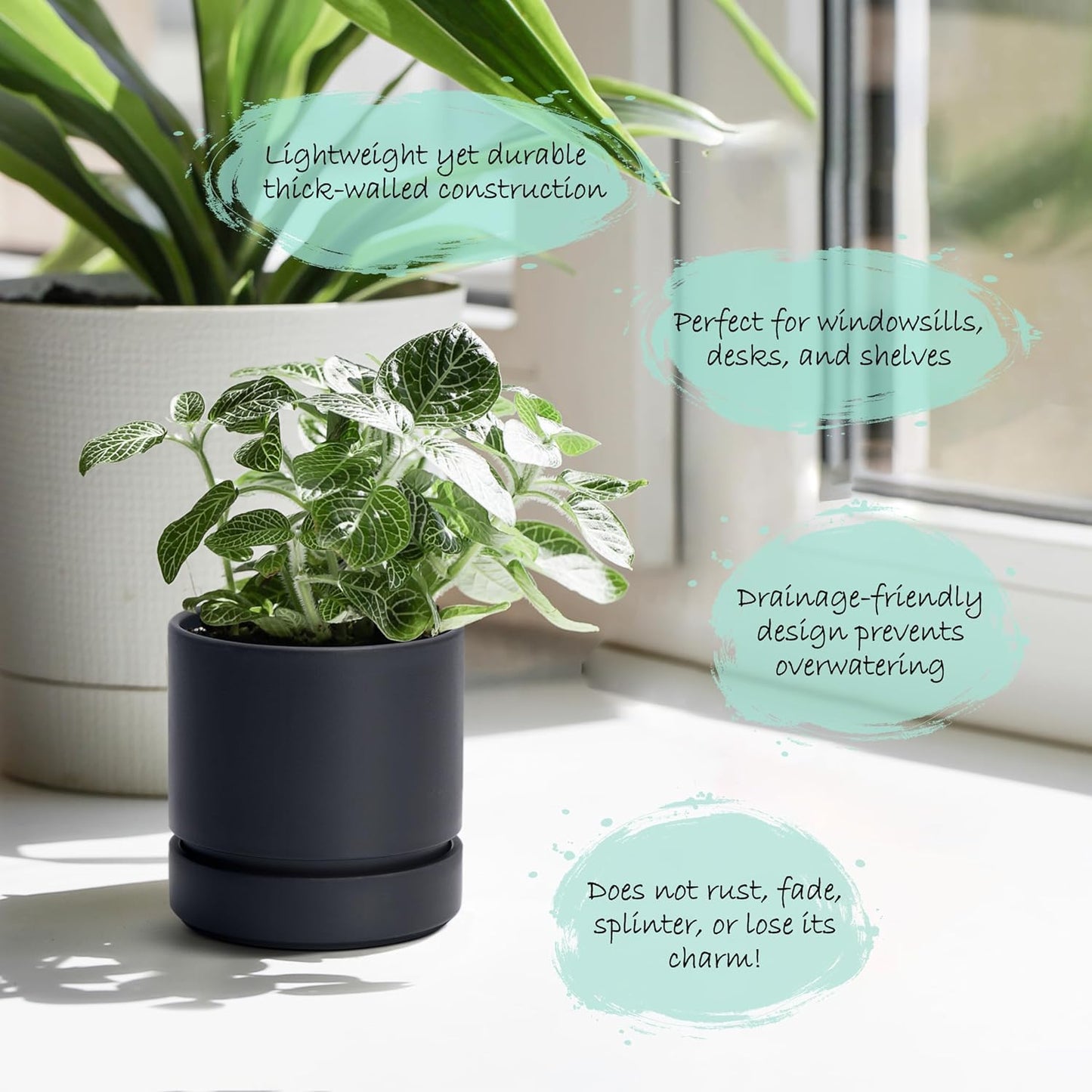 Phoenix Vine 4 Inch Planter Pot with Drainage Hole & Saucer, Deep Water Catch Tray, Straight Cylindrical Round Pot for Plants, Matte Black, Pack of 1, 23-C-R-1