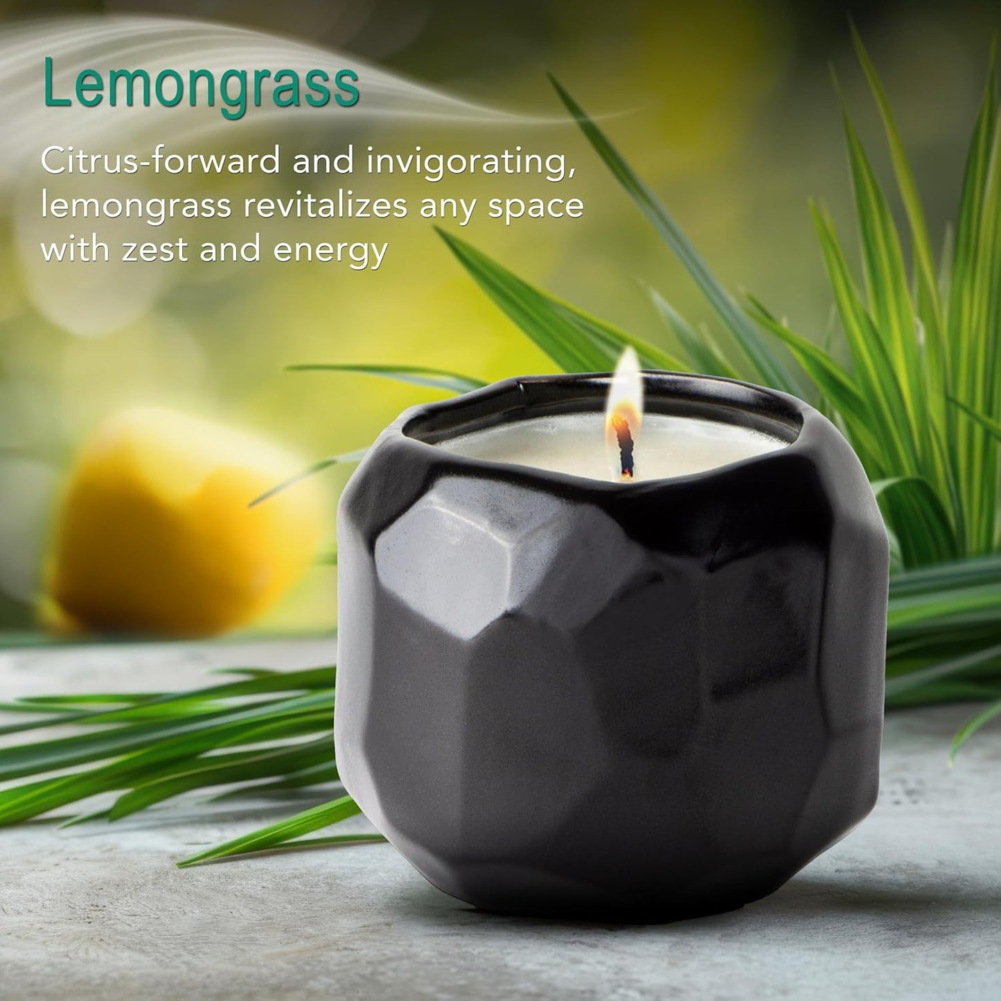 The Growing Candle, Lemongrass Scented, 13oz Ceramic Pot, Single Wick Aromatherapy Candles, 100% Soy for Women and Men, Emma
