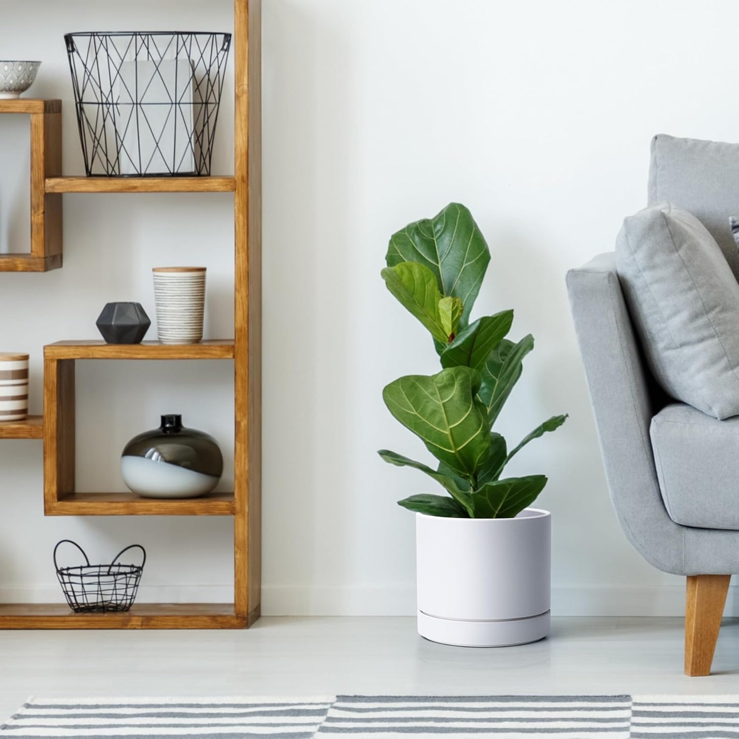 Phoenix Vine 8 Inch Planter Pot with Drainage Hole & Saucer, Deep Water Catch Tray, Straight Cylindrical Round Pot for Plants, Matte White, Pack of 1, 23-B-T-1