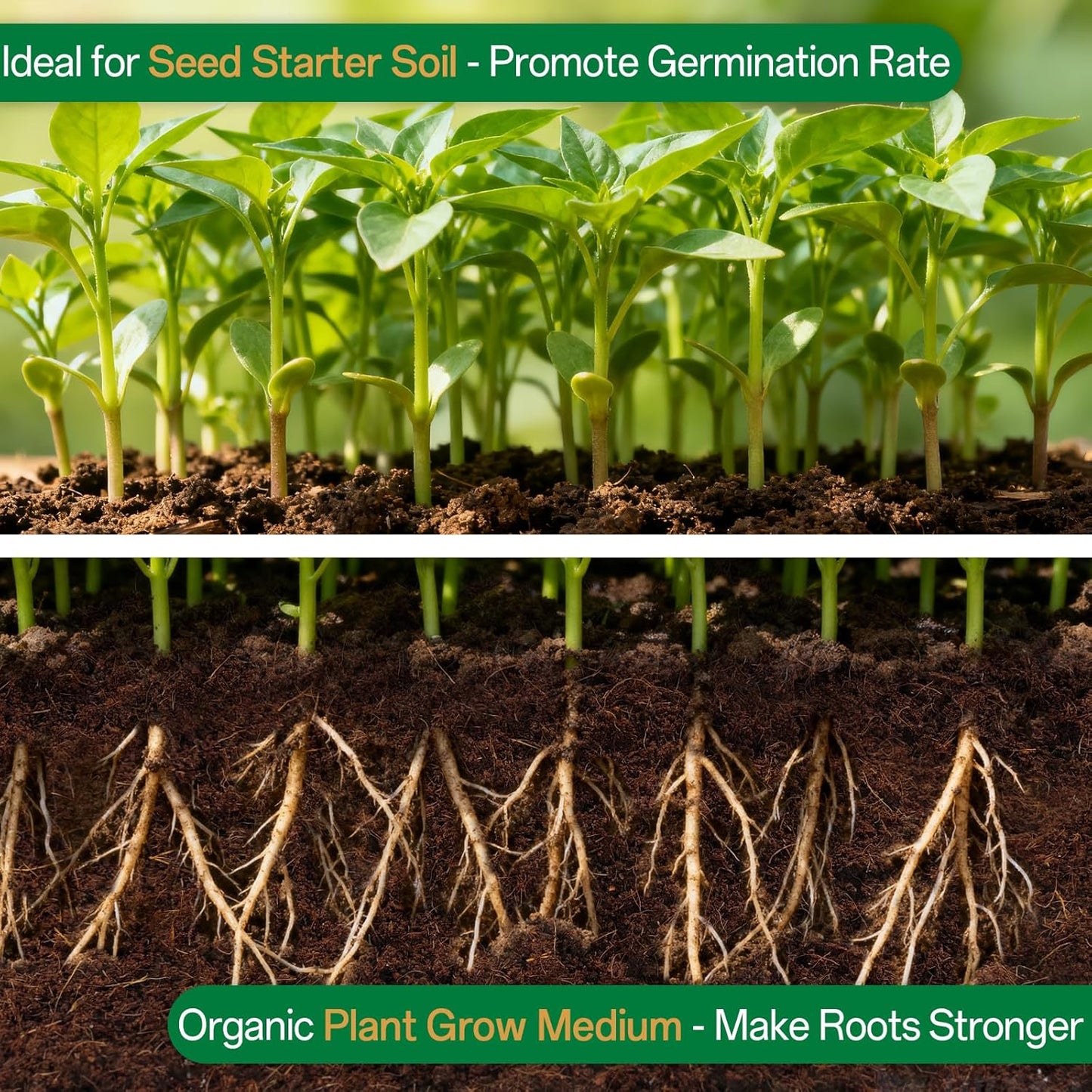 ZeeDix 2 Pcs Coco Coir Brick for Plants- 100% Organic Coconut Coir for Garden Soil & Potting Mix, Low EC and pH Balance, Compressed Coconut Husk Fiber for Seed Starter Soil for Indoor Outdoor Plants