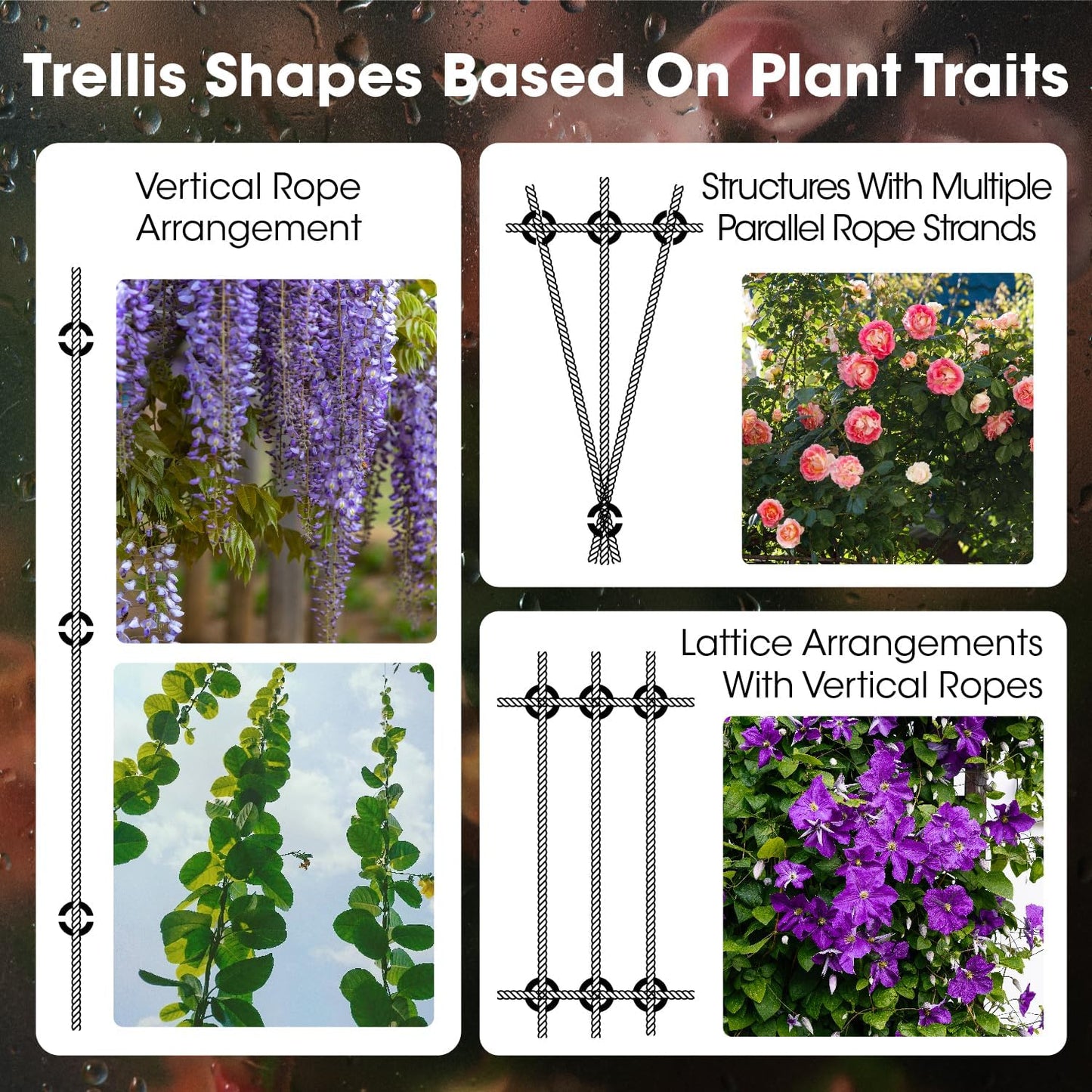 Stainless Steel Trellis Wire Kit for Climbing Plants - 20 Sets T316 Garden Wire Support System with 98Ft Cable, Outdoor Wall Mount Espalier Trellis Kit for Rose/Vine Training