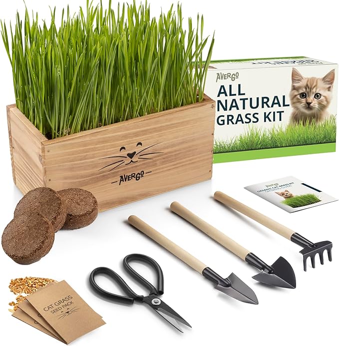 Cat Grass Kit for Indoor Cats – x4 Seed Packets | Cat Grass Seeds with Wooden Planter, Soil & Mini Gardening Tools for Nipping – Pet-Safe Wheatgrass Grass