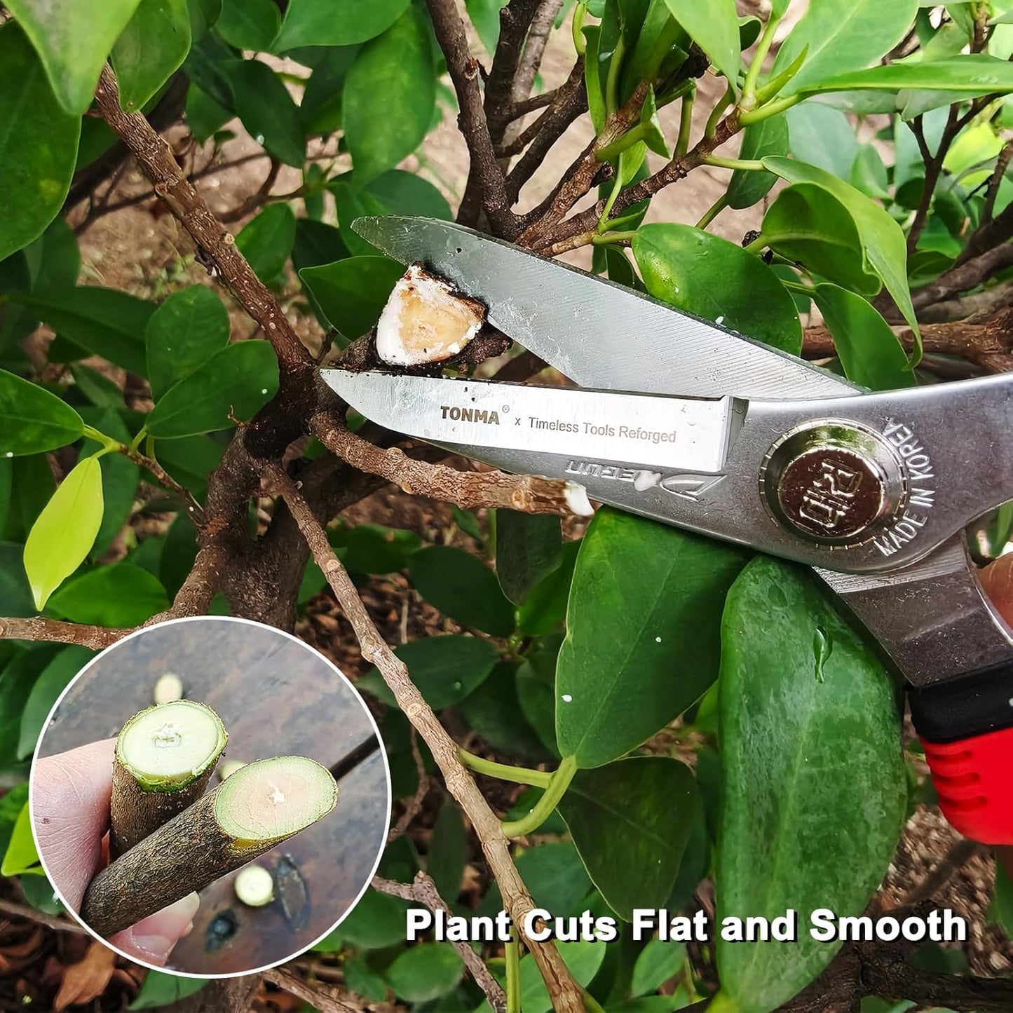 TONMA Pruning Scissors [Made in Korea] 7.5" Rugged yet Lightweight Pruning Shears for Gardening with Ergonomics Grip, Japanese Craft Hard Chrome Plated Sharp Stainless Steels Garden Snips