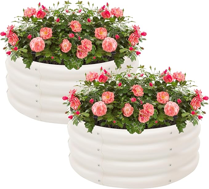 2-Pack 2x1ft Galvanized Raised Garden Bed, Outdoor Planter Bed, Metal Planter Box for Gardening and Planting