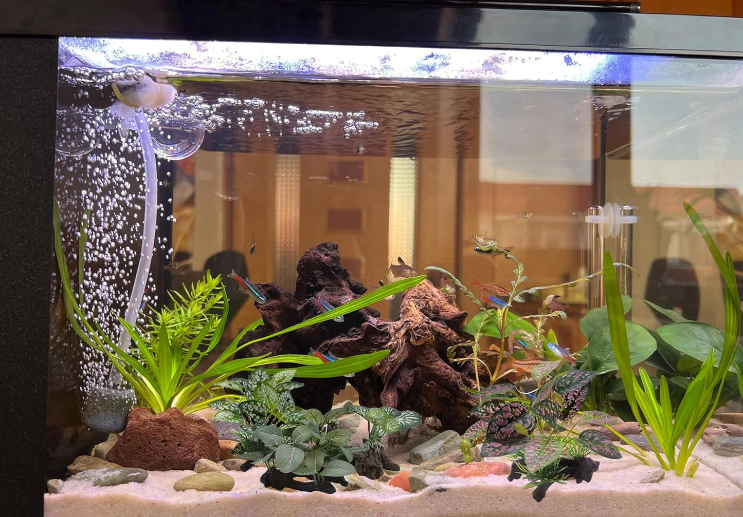 M2cbridge Artificial Fish Tank Plants Aquarium Plastic Plant Aquatic Water Grass Foreground Decor (2PCS Plastic Plants)