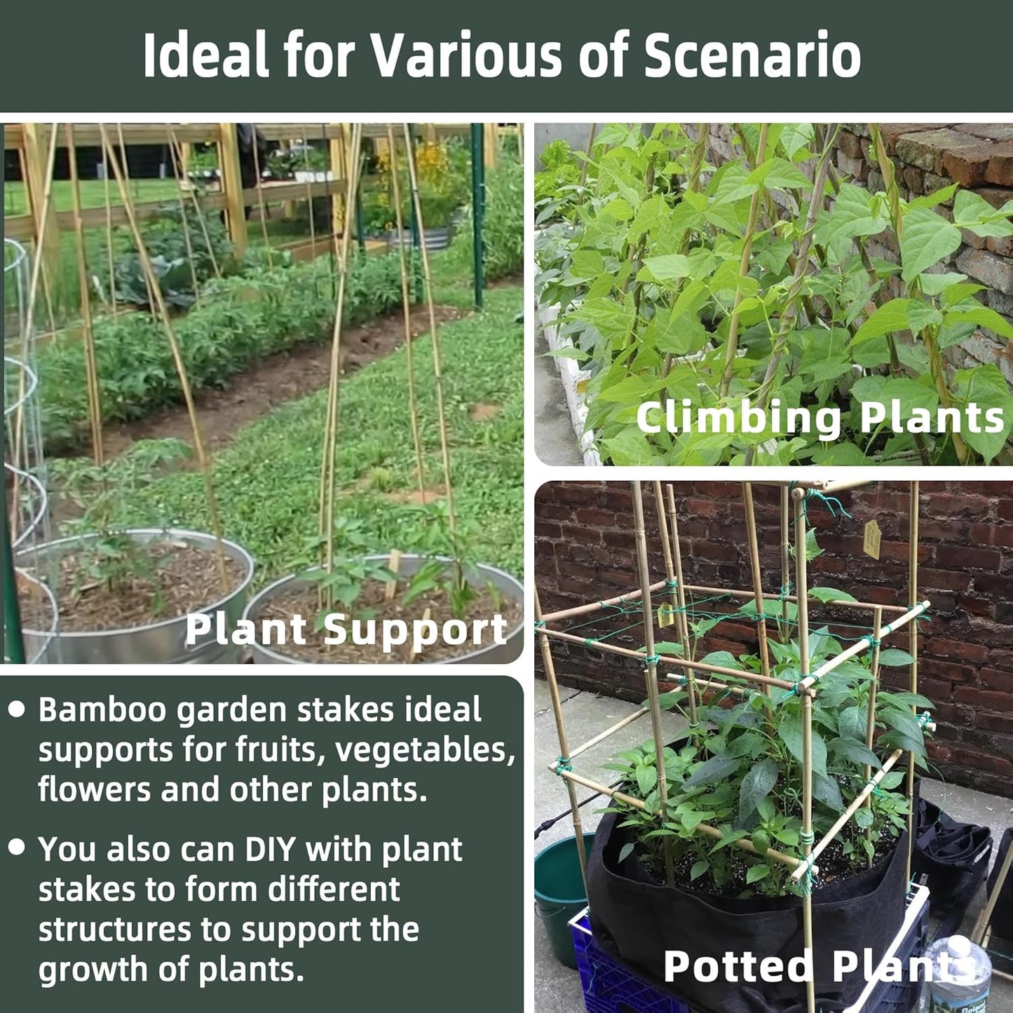 50Pcs / 2ft Bamboo Plant Stakes for Indoor Outdoor Plants, Garden Plant Support Sticks, Poles for Tomato Vegetables Beans Trees Potted Climbing Plants(0.32'')