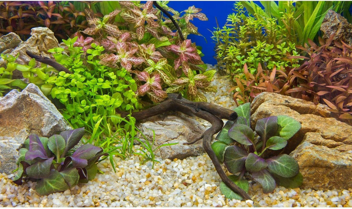 Aquarium Background Various Underwater Grass Plants Pebble Aquarium Backdrop Vivid and Fresh Green Aquatic Plants Stone River Bed and Dead Wood Purple Leaves Tank Background Vinyl 48x20in