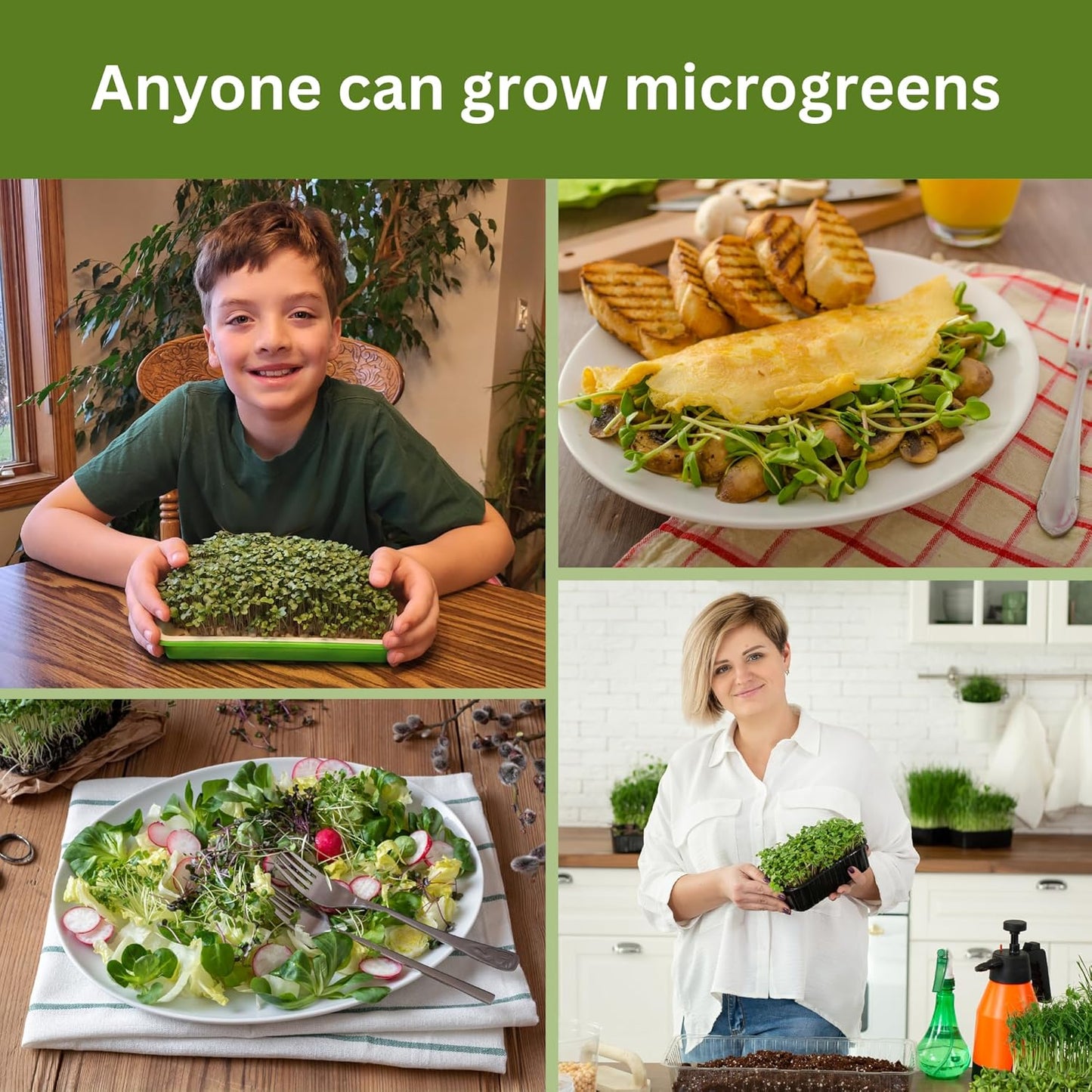 Home Microgreens Kit Refill - Hydroponic Growing Medium - Premeasured for 4 plantings; Includes Non-GMO Organic Broccoli and Radish Seeds for 4 Harvests