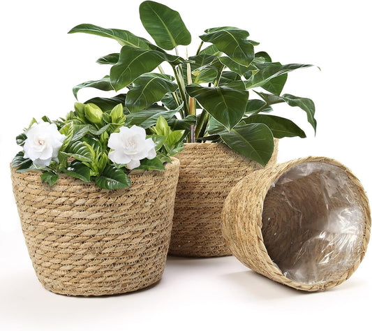 Athaliah Plant Basket, 3 PCS Plant Baskets Indoor with Plastic Liner, Water Hyacinth Woven Planters Flower Basket, Planter Basket for Rustic Boho Home Farmhouse Floor Potted Pots Decor