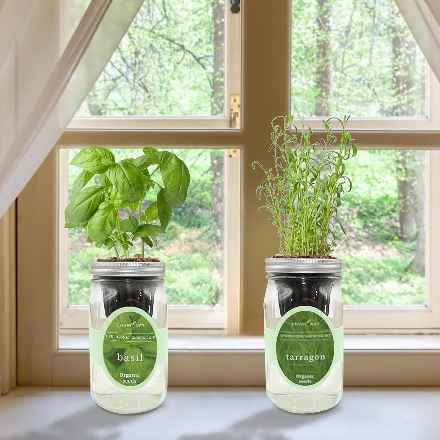 2-Pack Hydroponic Mason Jar Herb Garden Kit, Indoor Herb Garden Self-Watering Starter Kit (Basil,Tarragon)