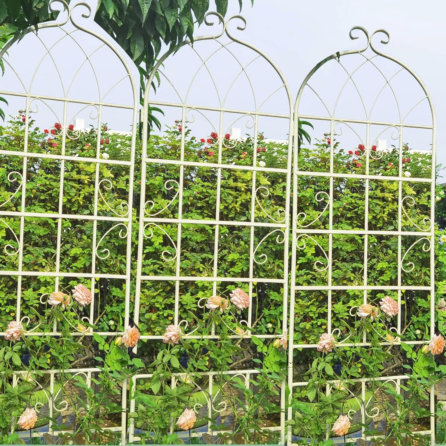 2 Pack Metal Garden Trellis 71" H Fence Rustproof Garden Trellis for Climbing Plants Support Roses Flower Outdoor Lawn, Cream White
