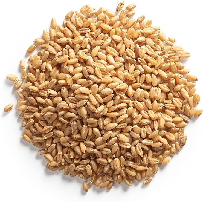 Cat Grass Kit for Indoor Cats – x4 Seed Packets | Cat Grass Seeds with Wooden Planter, Soil & Mini Gardening Tools for Nipping – Pet-Safe Wheatgrass Grass