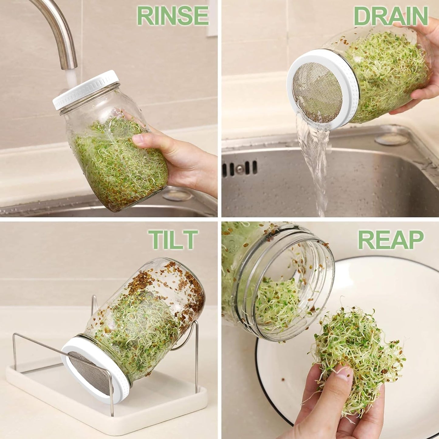 Organic Seed Sprouting Jar Kit – 2 × 32 oz Wide-Mouth Mason Jars with Stainless-Steel Sprouter Lids & Stand, Blackout Sleeves, Drain Tray – Grow Broccoli, Alfalfa & Bean Microgreens