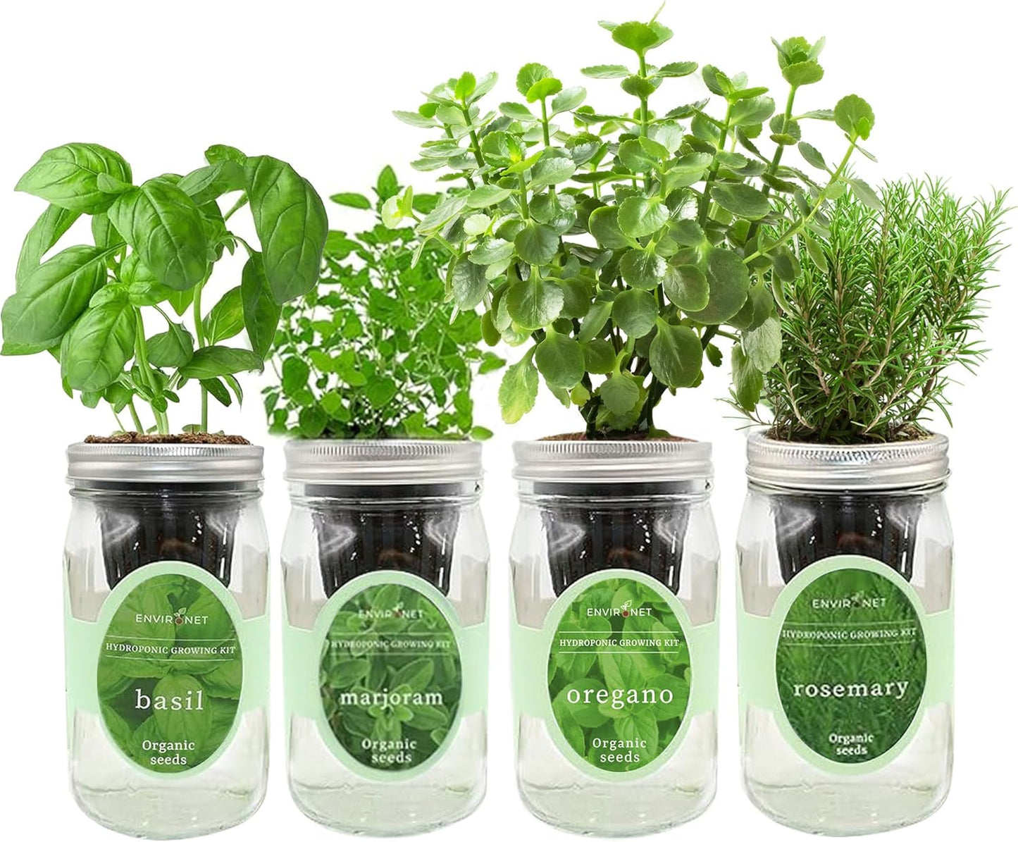 Hydroponic Mason Jar Indoor Garden Organic Seed Starter Kits - Italian Herb Blend Growing Kits, Windowsill Herb Garden, Gardening Gift (Basil, Marjoram, Oregano, Rosemary)