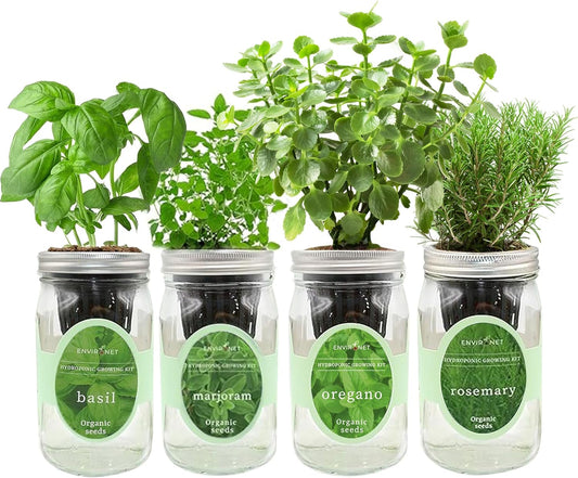 Hydroponic Mason Jar Indoor Garden Organic Seed Starter Kits - Italian Herb Blend Growing Kits, Windowsill Herb Garden, Gardening Gift (Basil, Marjoram, Oregano, Rosemary)