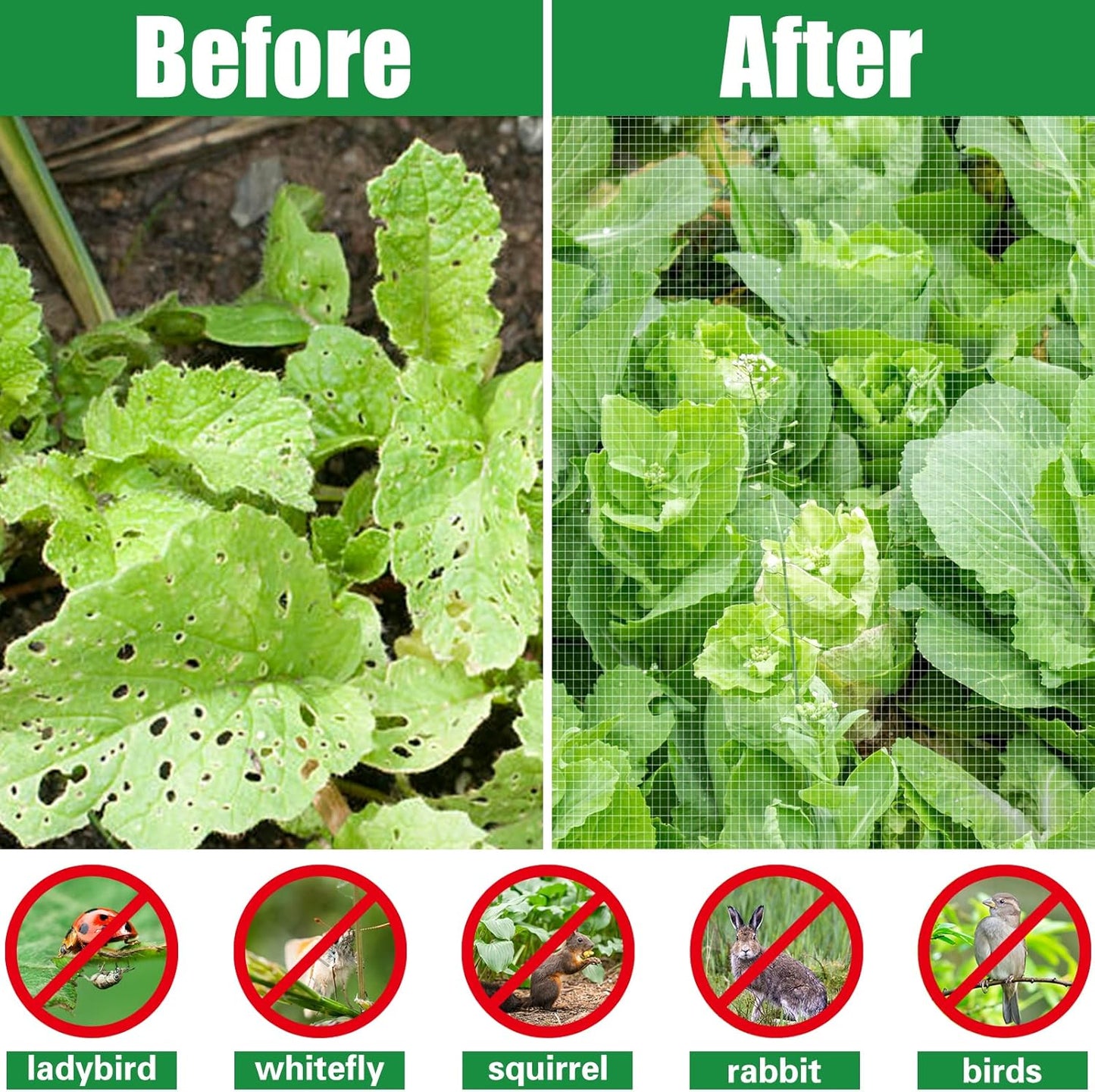 SnugNiture Garden Netting 10x50FT Ultra Fine Mesh Mosquito Netting Plant Covers, White Bird Netting Barrier Greenhouse Row Cover Protect Fruits Flower Vegetables from Birds Deer & Squirrels