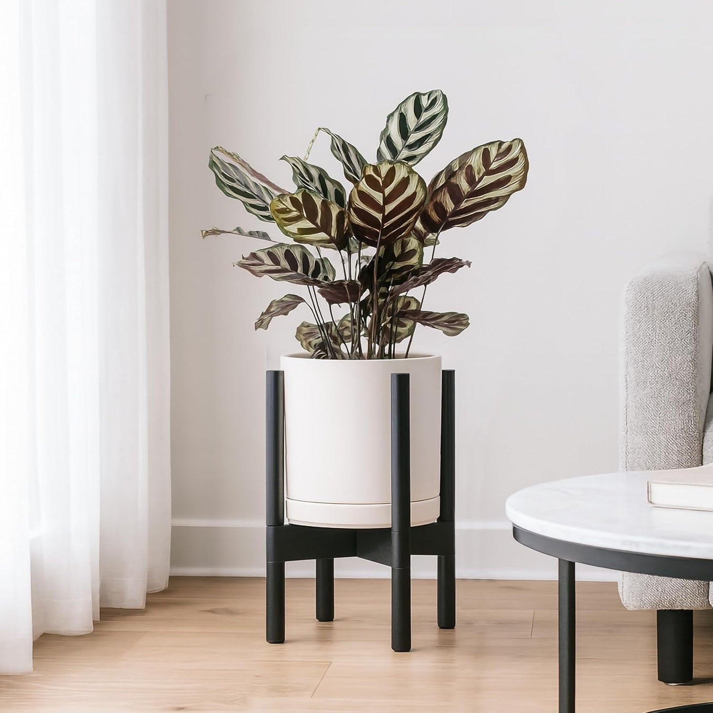 D'vine Dev Ceramic Planter with Ebony Stand - 8 Inch Modern Round Flower Pot with Wood Planter Holder, Oatmeal, 55-B-M-8