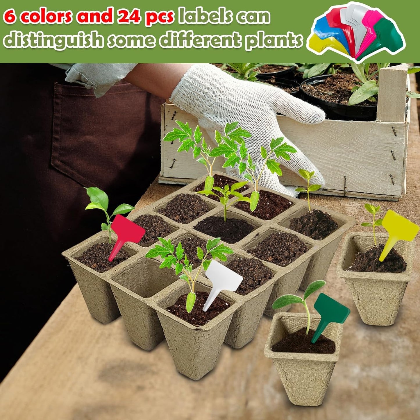 PINVNBY 288 Cells Seed Starter Tray 24 Packs Biodegradable Peat Pots for Seedlings Disposable Seedling Starter Trays with 24 Labels and 2 Transplant Tools for Indoor Outdoor Garden