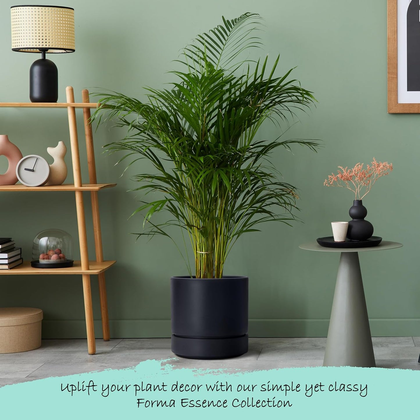 Phoenix Vine 8 Inch Planter Pot with Drainage Hole & Saucer, Deep Water Catch Tray, Straight Cylindrical Round Pot for Plants, Matte Black, Pack of 2, 23-C-T-2