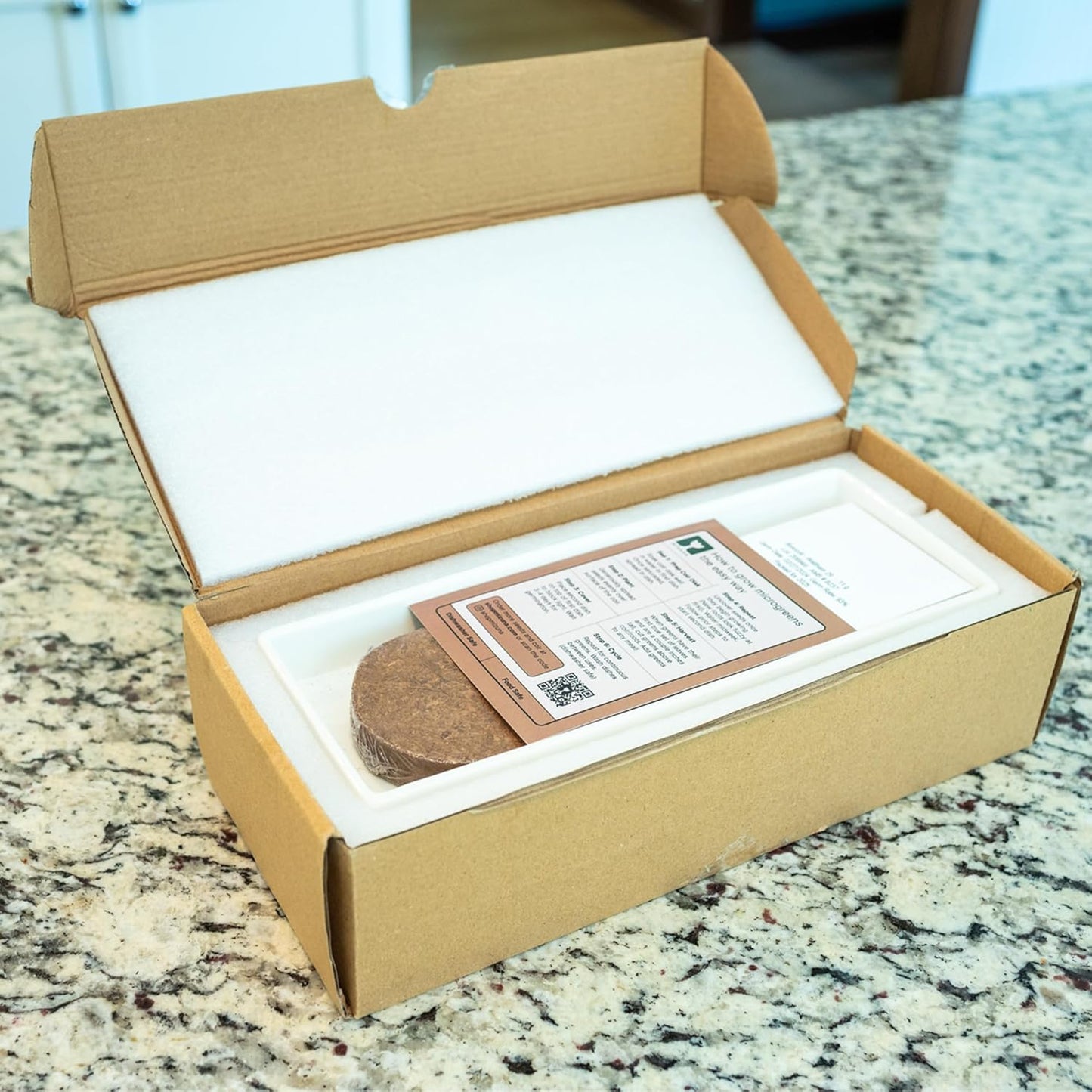 mizuna Microgreens Growing Kit – 2 Stackable White Ceramic Micro Greens Growing Trays (2x5x12 in), Coconut Coir, and Seeds for Stylish Indoor Micro Greens Growing