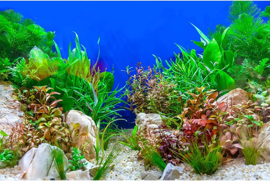 Aquarium Background Green Aquatic Plant Stone River Bed and Lake Fish Tank Background Decor Underwater Grass Leaves with Pebble Aquarium Backdrop Perfect Fish Tank Decors Vinyl 24x16in