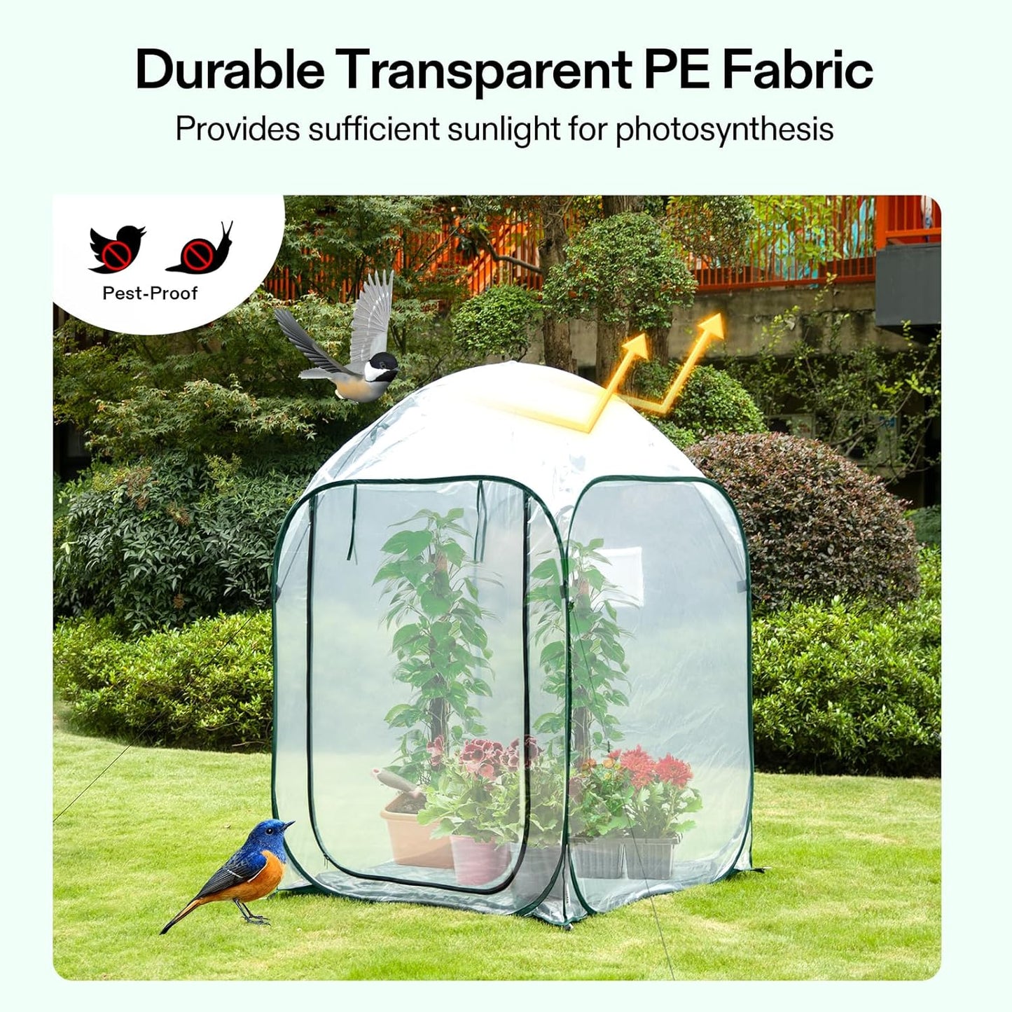 VIVOSUN 39x39x63-Inch Portable Walk-in Greenhouse, with PVC Cover & Detachable Base, Instant Pop-up and Folding, Mini Greenhouse with Roll-Up Door & Mesh Window for Indoor Outdoor, Wind Ropes Included