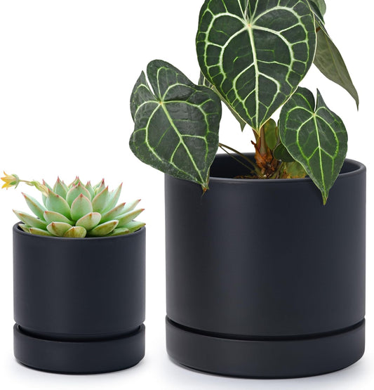 Phoenix Vine 4 Inch and 6 Inch Planter Pot with Drainage Hole & Deep Water Catch Tray Saucer, Straight Cylindrical Round Pot for Plants, Matte Black, 23-A-2-Z