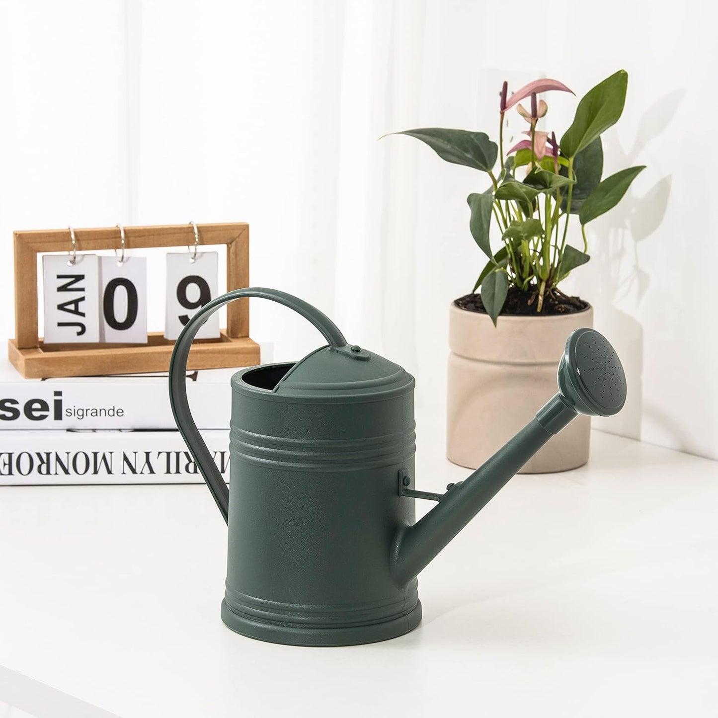 Plastic Indoor Watering Can with Sprinkler Head - 68 oz, 1/2 Gallon