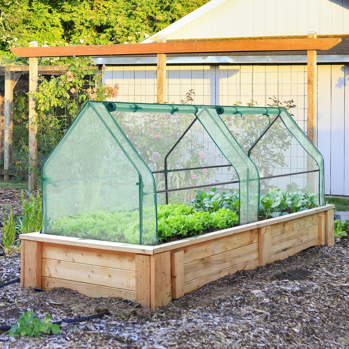 Ohuhu Portable Mini Greenhouse, 71"x36"x36" Greenhouses for Outdoors with Dual Large Zipper Doors & Ground Stakes, Waterproof & UV Protected Plastic Green House for Outside Garden Patio Backyard