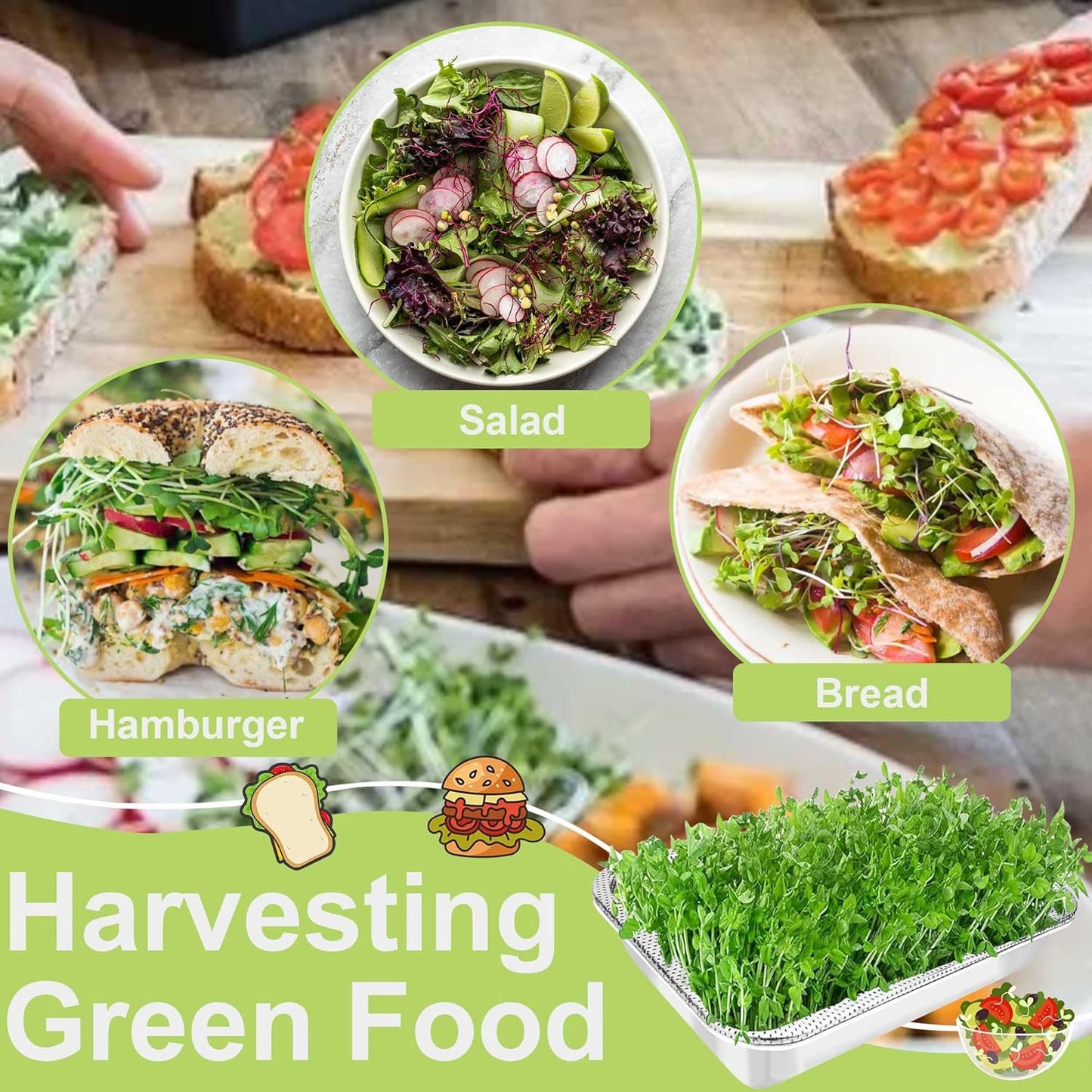 Stainless Steel Sprouts Growing Kit 4-Tier 12.4 inch Trays, Microgreens Growing Kit, Seed Sprouting Tray with Encrypted Mesh Sprouts for Beans Alfalfa Broccoli Wheat Grass