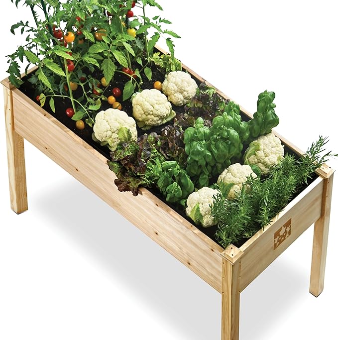 Raised Garden Bed with Legs 48x24x30 - Natural Cedar Wood Elevated Planter Box with Bed Liner for Flowers, Veggies, Herbs - 200lb Capacity