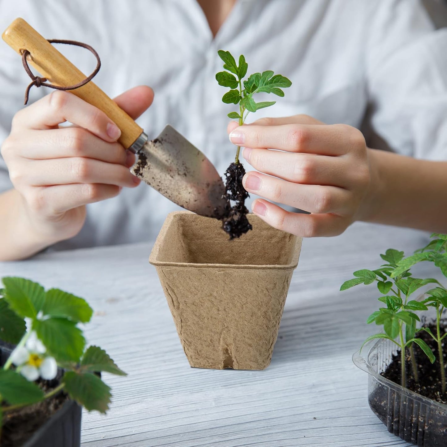 180 Pieces Peat Pots Plant Starters 2.3 Inch Square Peat Pots for Herb Seedlings Garden Germination Nursery Pots Organic Germination Plant Starter with Plant Markers Labels for Plants Supplies