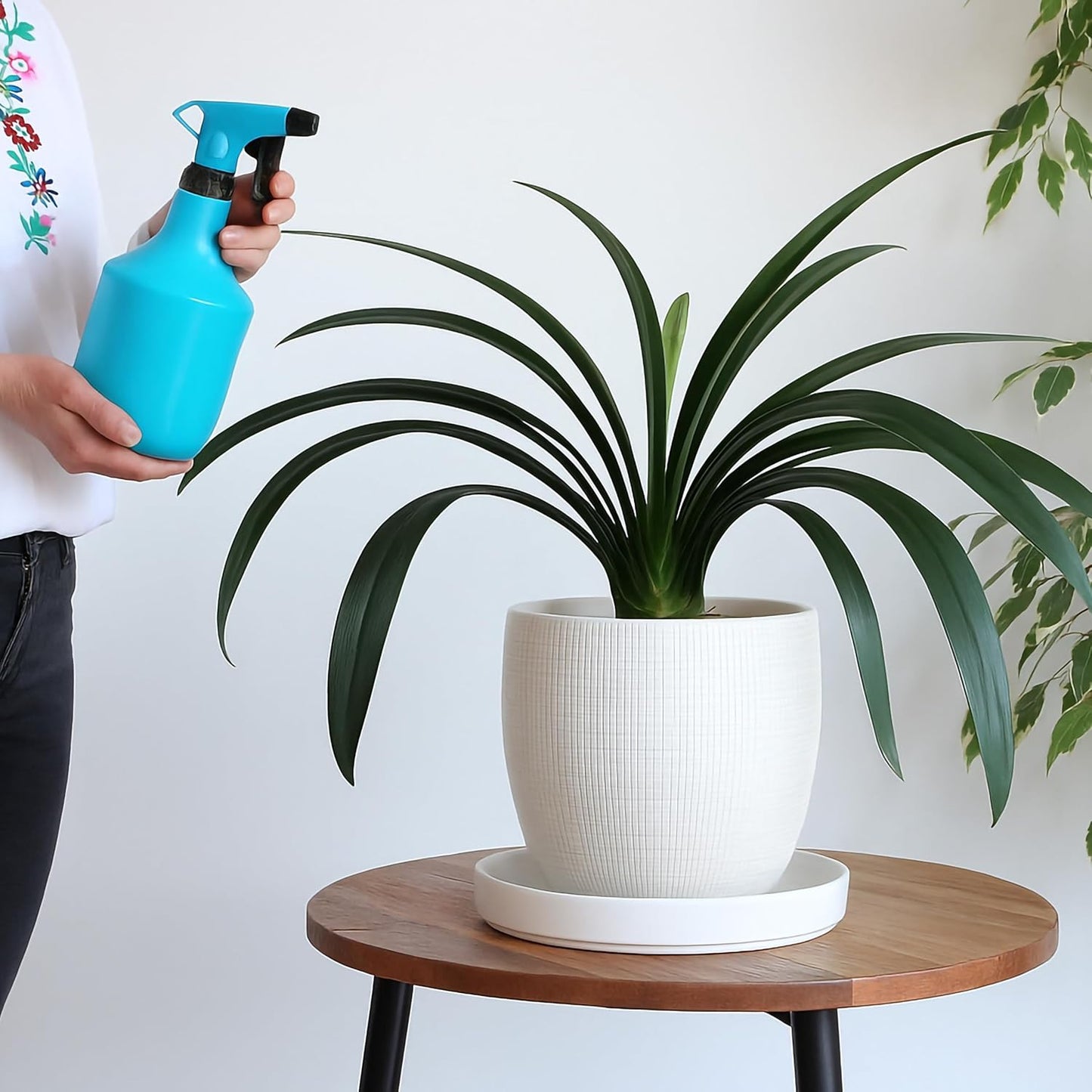 D'vine Dev Modern Round 10.4 Inch Ceramic Plant Pot Saucer, Planter Pot Drainage Tray for Indoor Plants, Matte White, 97-T-A-5