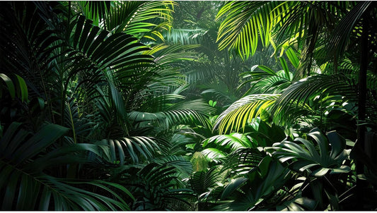 Aquarium Background Enchanting Beauty of Jungle Terrarium Backdrop Nature Jungle Green Leaf Palms Fish Tank Background Reptile Habitat Backdrop Wallpaper Poster Decor Vinyl 36x18in
