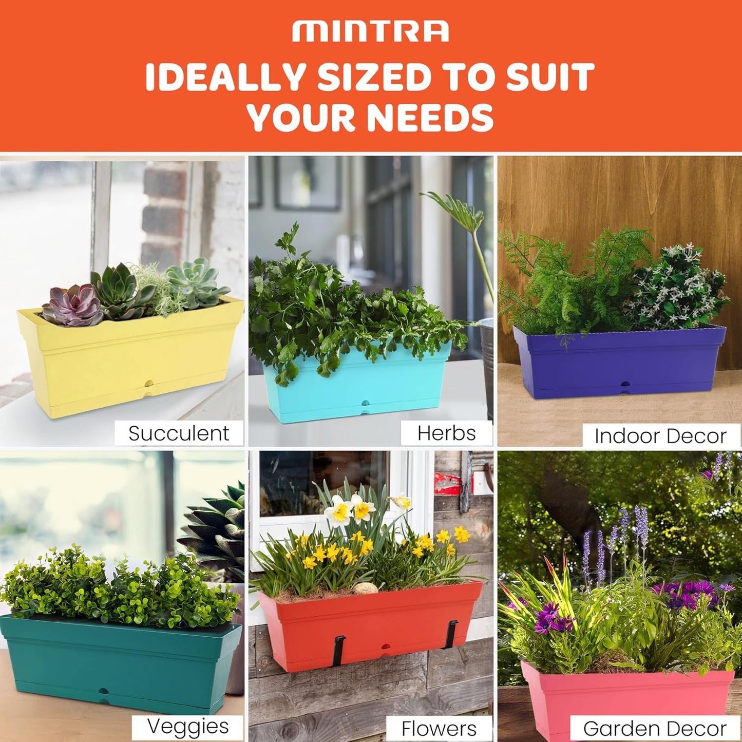 Mintra Window Box Planter, Window Planter Box for Indoor Outdoor Use, Rectangular Pots with Saucers & Drainage Holes, Decorative Plant Pots for Window Sill, Shelf, Desktop, 19" Wx6.75 H, Coral